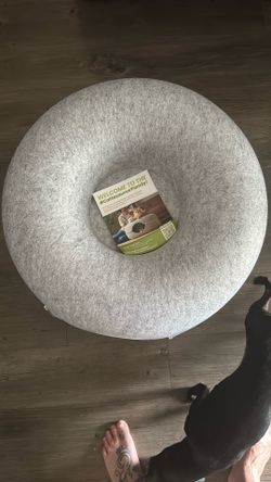 Peekaboo For Cats
