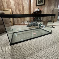 For Sale: 50-Gallon Bearded Dragon/Reptile Tank Setup 