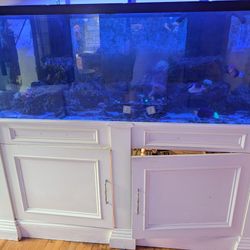 210 GALLON FISH TANK WITH STAND & SUMP - GREAT CONDTION
