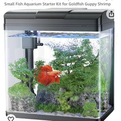 Betta Fish Tank, 1.7 Gallon Glass Aquarium with Filter Light, Small Fish Aquarium Starter Kit