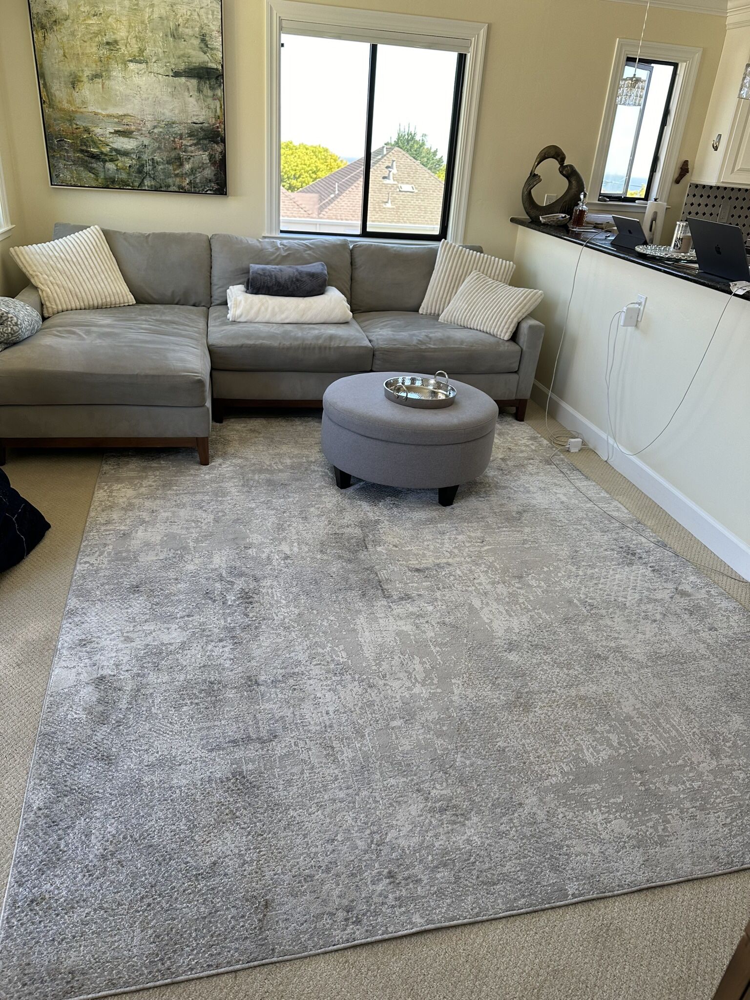 Grey Couch - Living Spaces