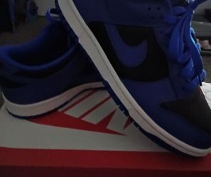Nike dunks like new