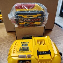 DeWalt 9.0ah Flex  Battery And Fast Charger