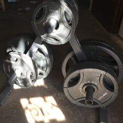 Weights Bench & Weights