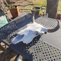 Cowboys Dream Skull With Husks 