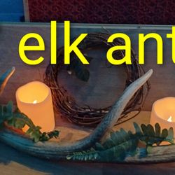 Elk Antler 29 Inch