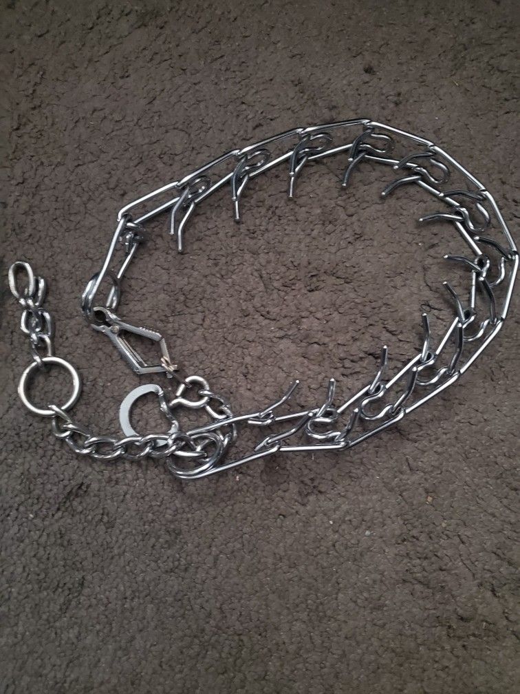 Dog Choke Chain.