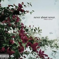 Never Shout Never