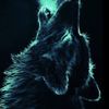 ❤️Scarlet Wolf❤️