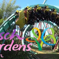Busch Gardens Tampa Tickets