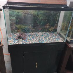 Fish Tank & Stand