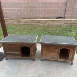 Dog House 