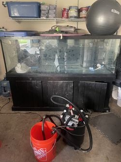 180 gal Aquarium