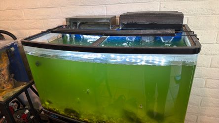 Fish tank with stand