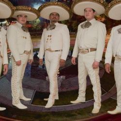 Guitarron Violin Mariachi