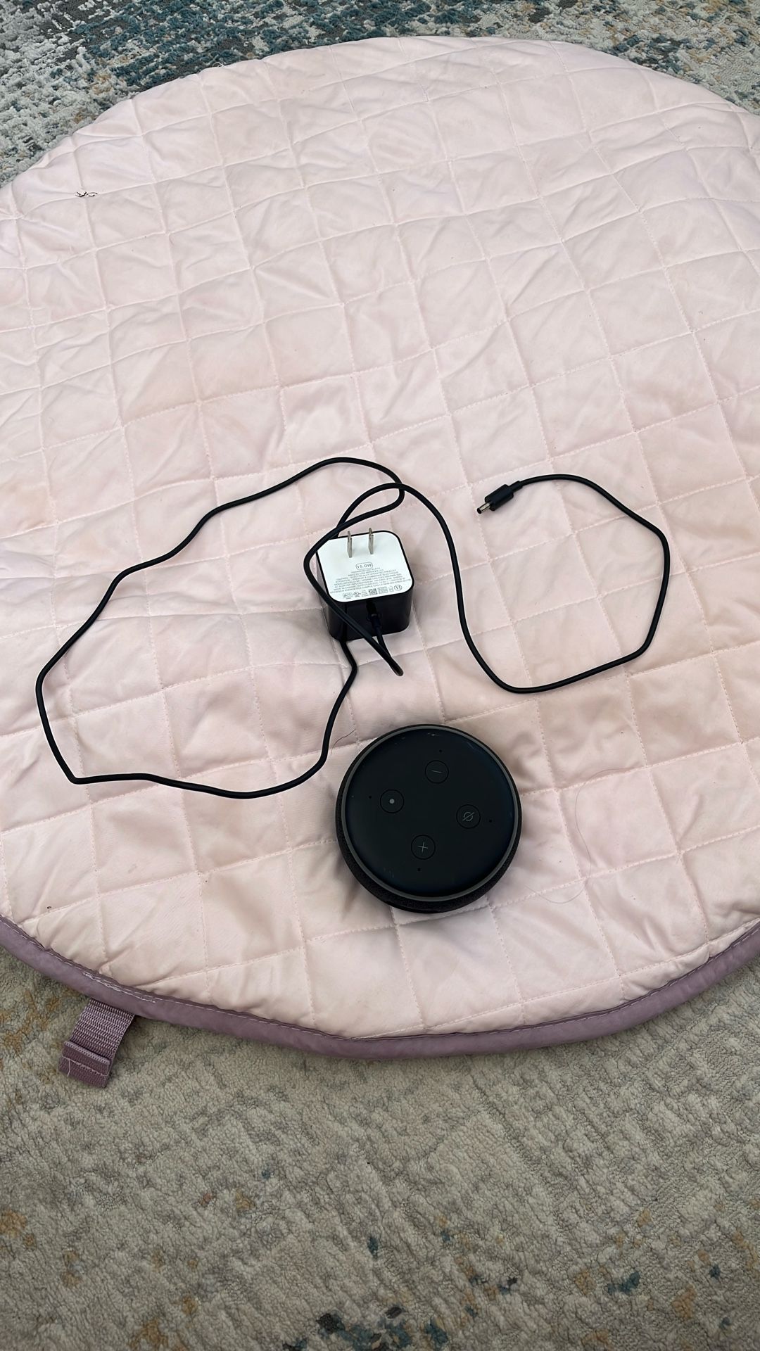 Echo dot!
