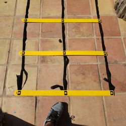Workout Ladder