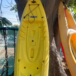 Kayaks