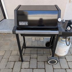 Weber Genesis Silver 2 Burner Gas Grill 