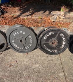 Gym weight plates