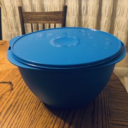 10L Tupperware Bowl