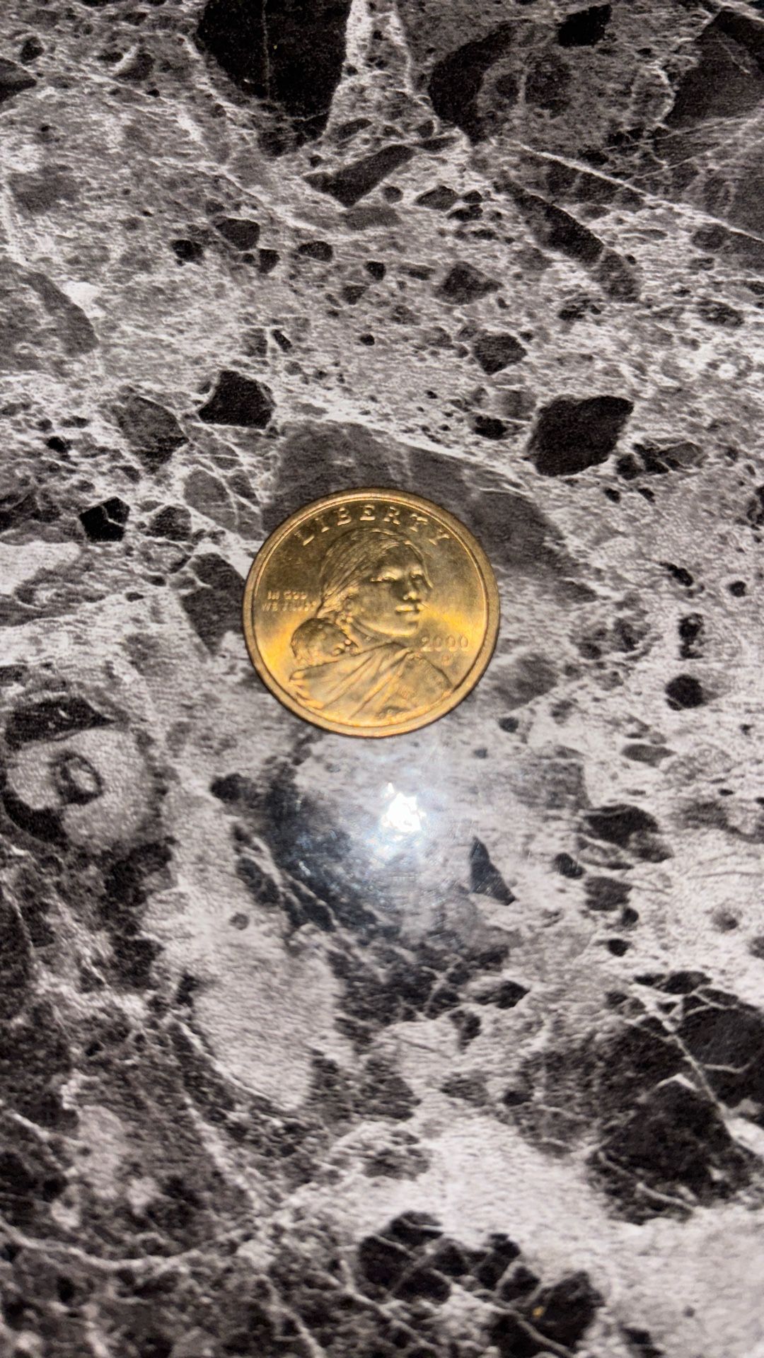 Rare One Dollar Coin