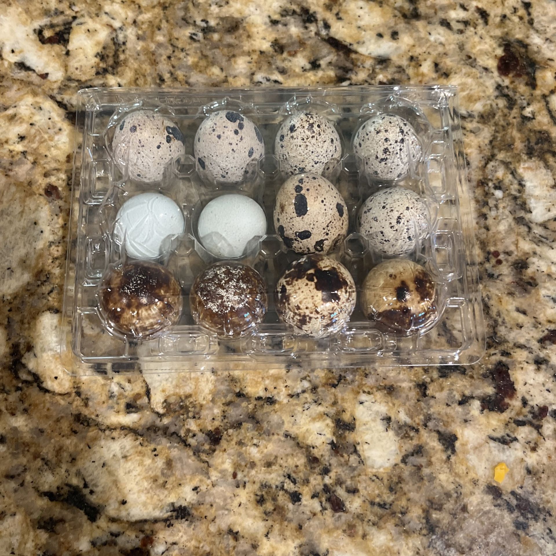 Quil’s Eggs