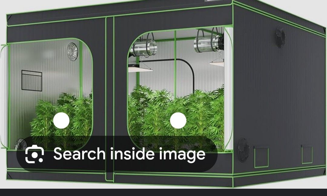 10x10 Gorilla Grow Tent