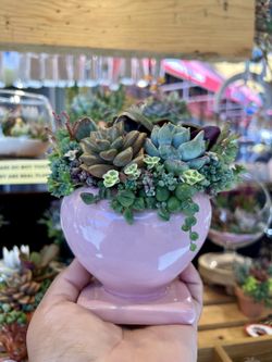 Heart You Succulent Design