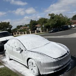 Car Interior & Exterior - Dust & Debris Care