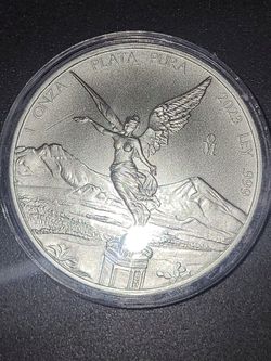 Coins Collector