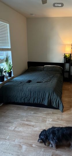 Queen bed frame + memory foam mattress