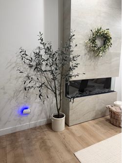 Olive tree