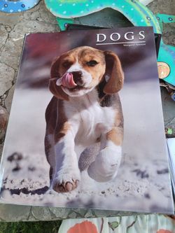 Dogs Book by Margaret Keenan