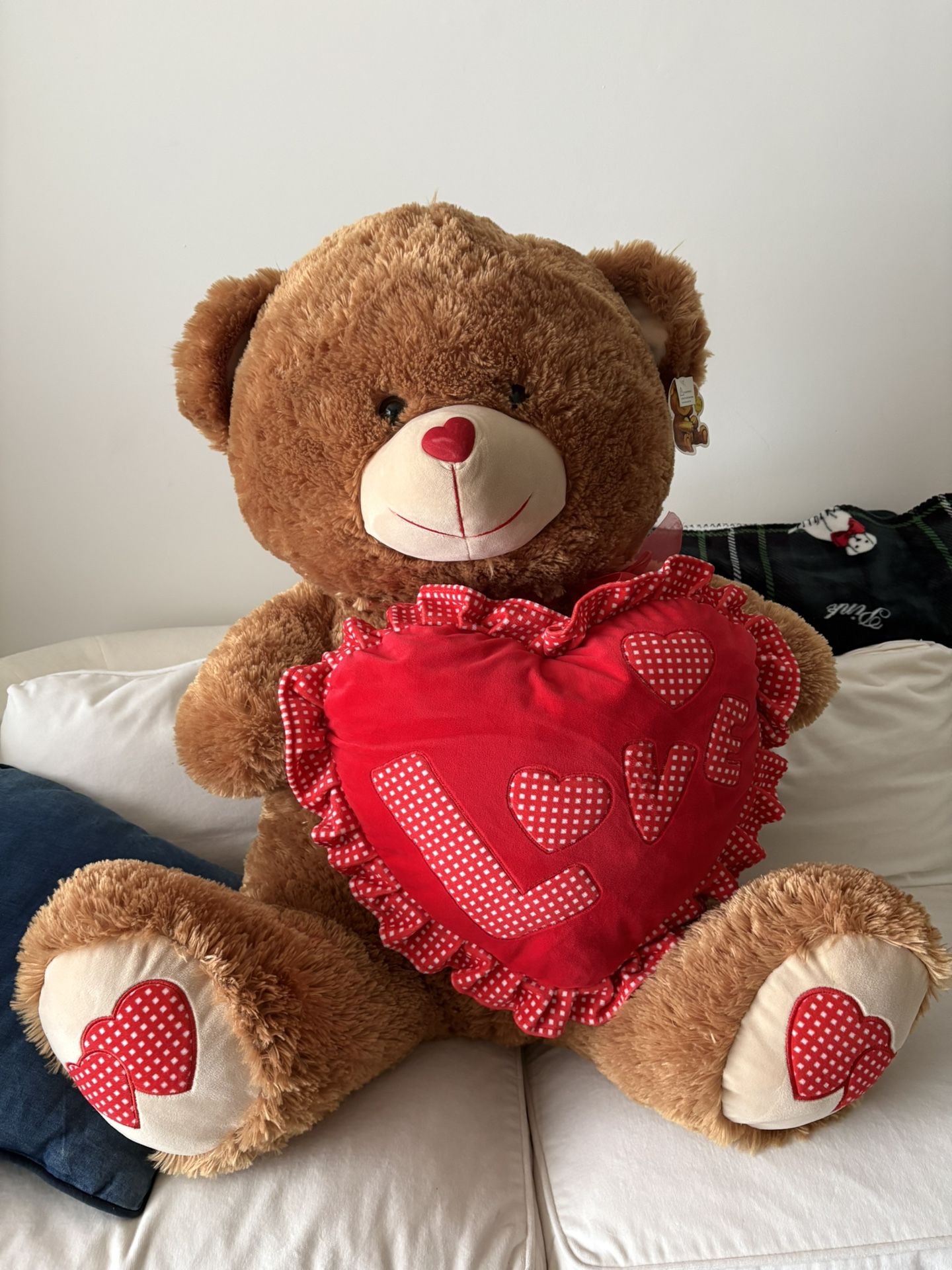 Valentines Teddy Bear