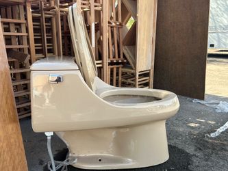 Kohler toilet