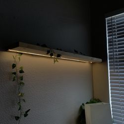 Custom Floating Shelve 