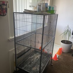 Big Bird Cage 