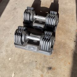 Flybird adjustable dumbbells