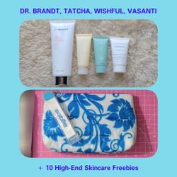 Dr. Brandt, WISHFUL, TATCHA, VASANTI CLEANSING/EXFLIATOR LOT + ESTĒE LAUDER MAKEUP BAG + 10 HIGH-END FREEBIES 