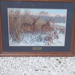 Deer Art 