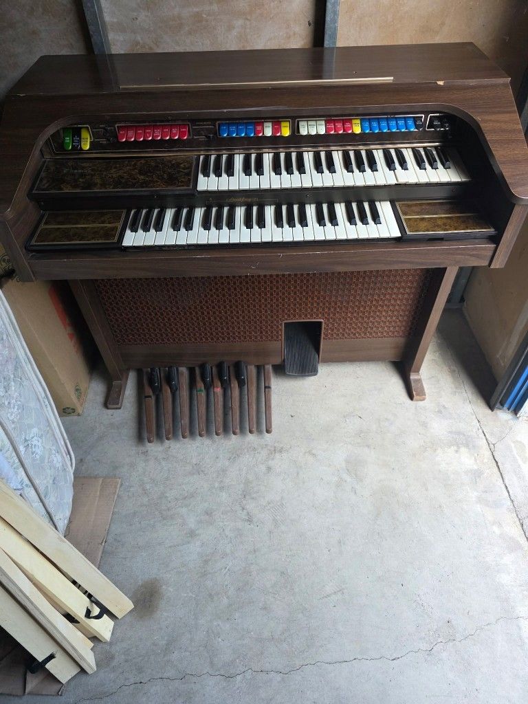 Organ