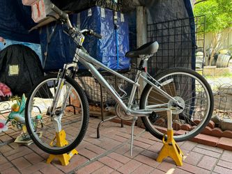 Timberline Bike Fitness Series Bike