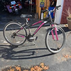 Schwinn Sidewinder Bike