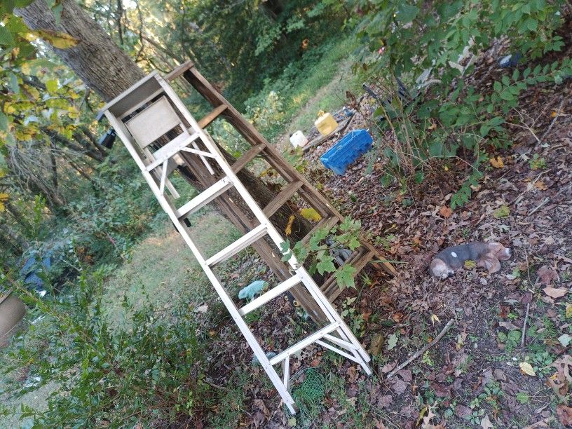 6 Ft Ladder