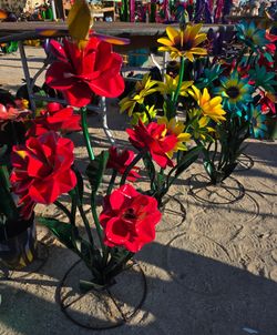 No water needed Flowers🌺Desert Cacti
Metal art decor🌵pottery