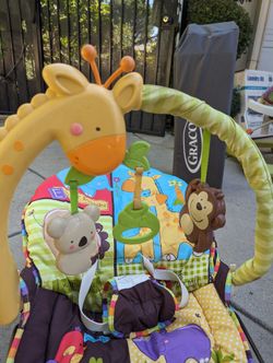 Baby Calming Bouncer