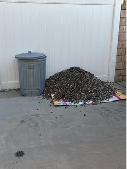 Free rocks