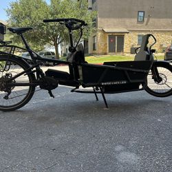 riese & müller load 75