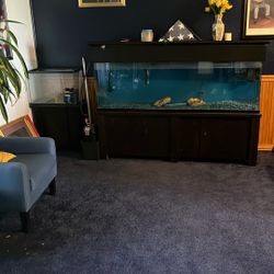Aquarium  110 Gallon   $600.00